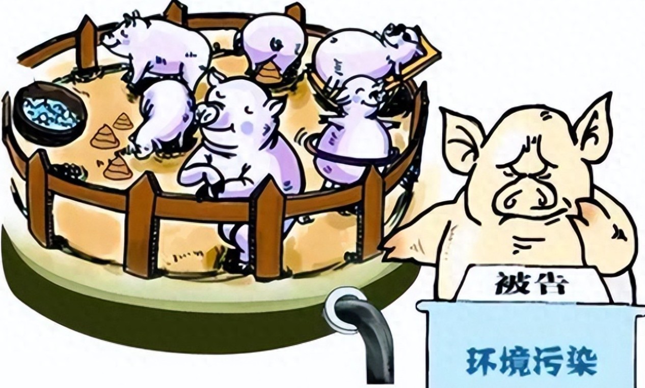 畜禽养殖环境污染.jpg