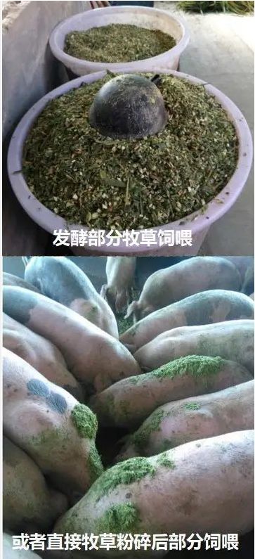 QQ图片20250529123228.jpg