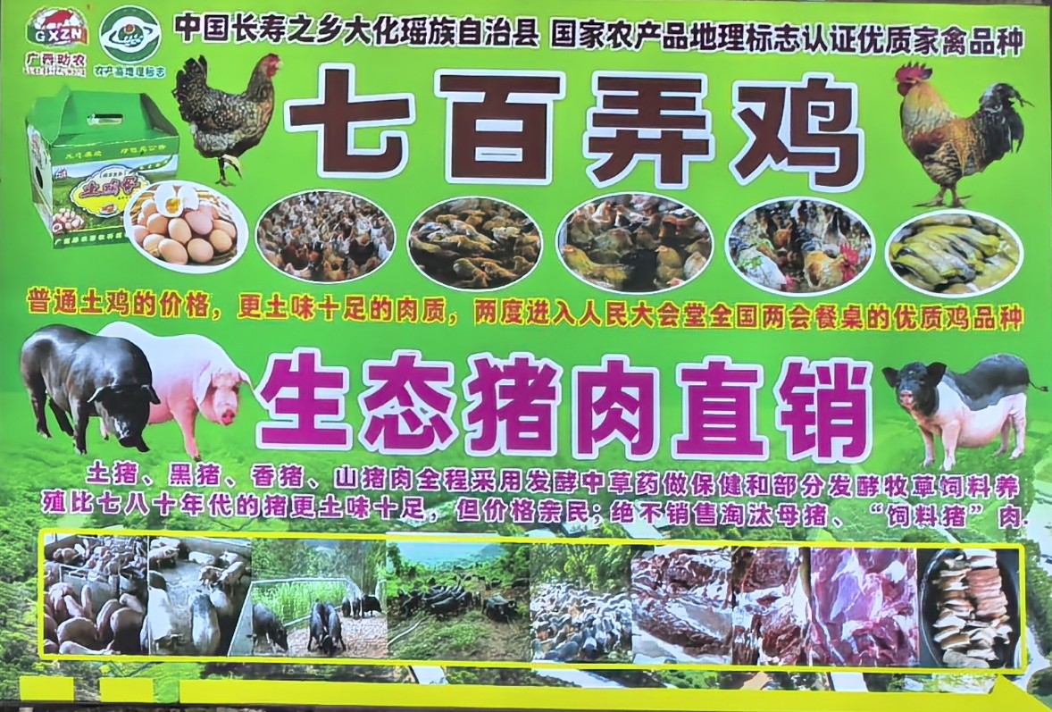 七百弄鸡和生态猪肉.jpg