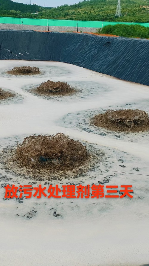 微信图片_20250722212929.jpg