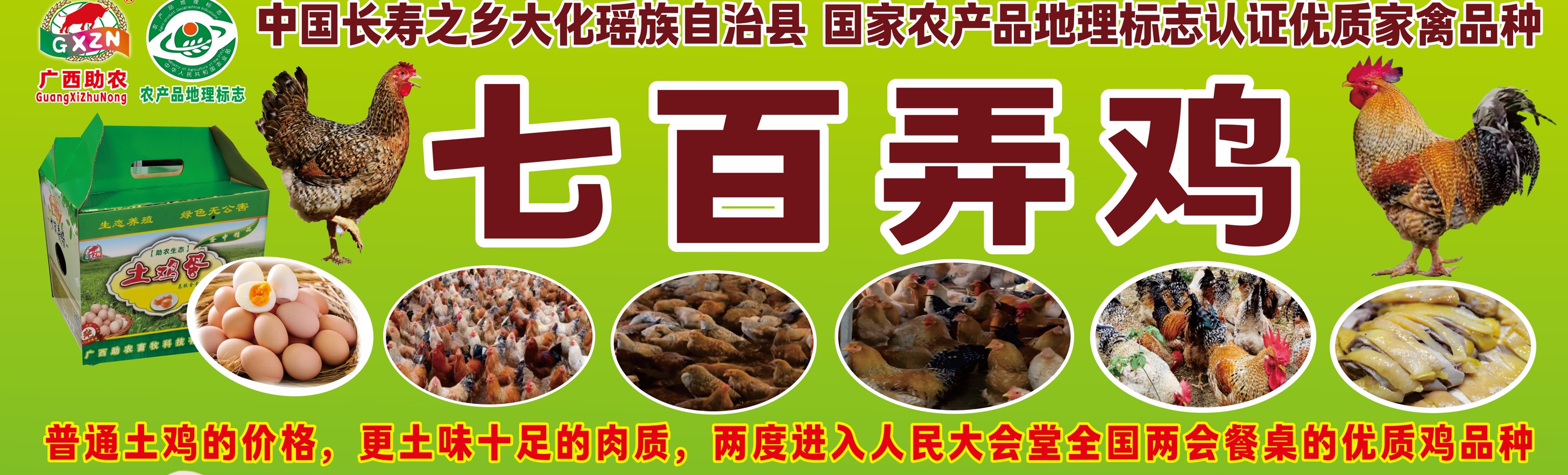 七百弄鸡介绍高清.jpg