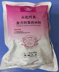 QQ图片20250730103823.png