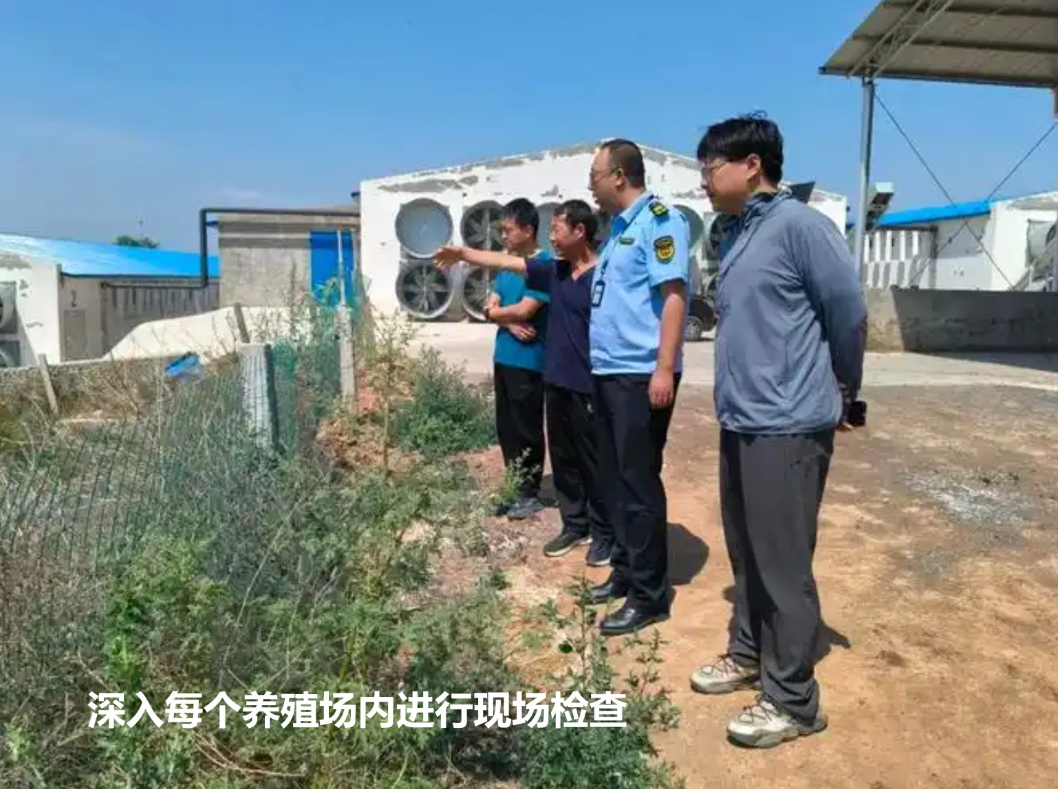 深入每个养殖场内进行现场检查.jpg