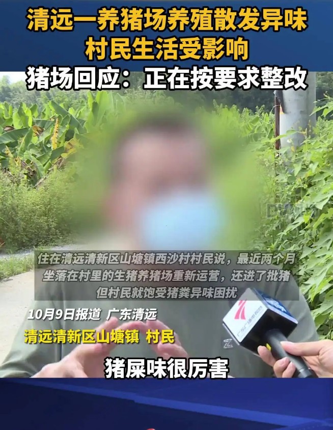 猪场臭味大被投诉.jpg