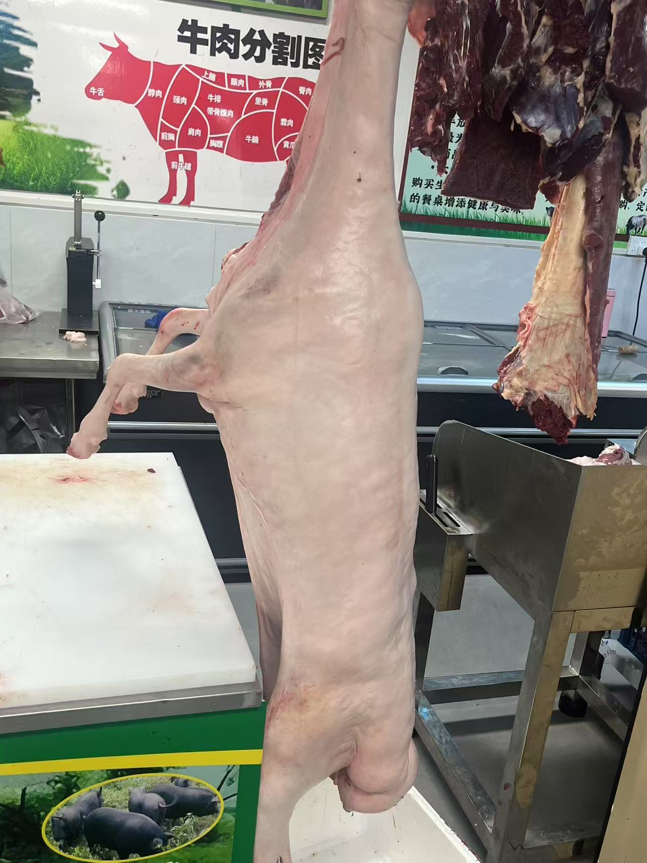 生态羊肉.jpg