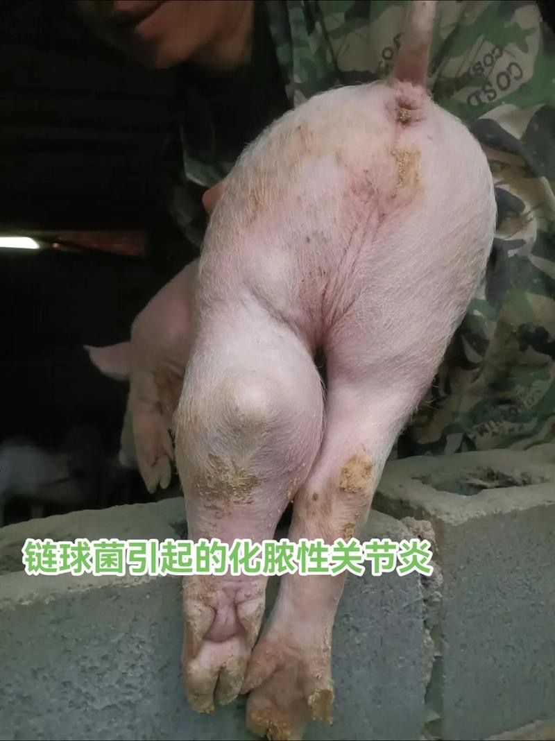 微信图片_20251029094502.jpg 微信图片_20251029094502.jpg