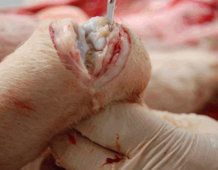 微信图片_20251029094452.jpg 微信图片_20251029094452.jpg