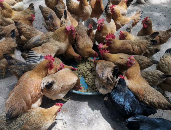 17237056901214475.png 17237056901214475.png