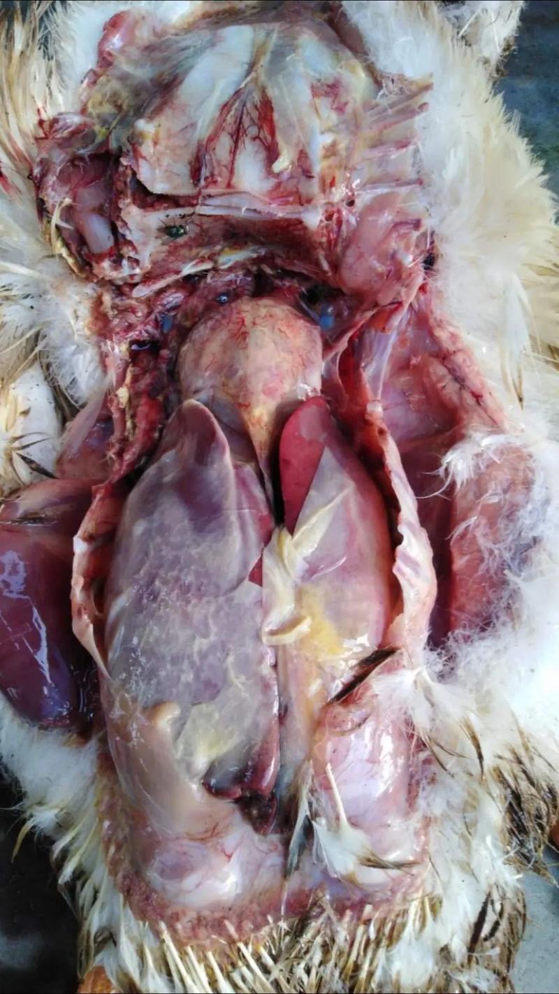 微信图片_20251106111408.jpg 微信图片_20251106111408.jpg