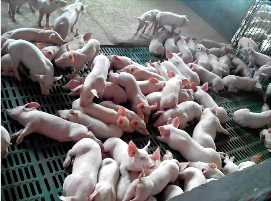 截图20250324143946.png 截图20250324143946.png