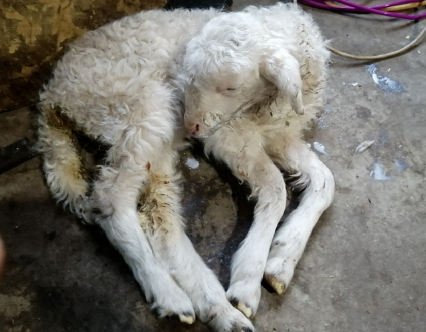 微信截图_20251110100117.jpg 微信截图_20251110100117.jpg