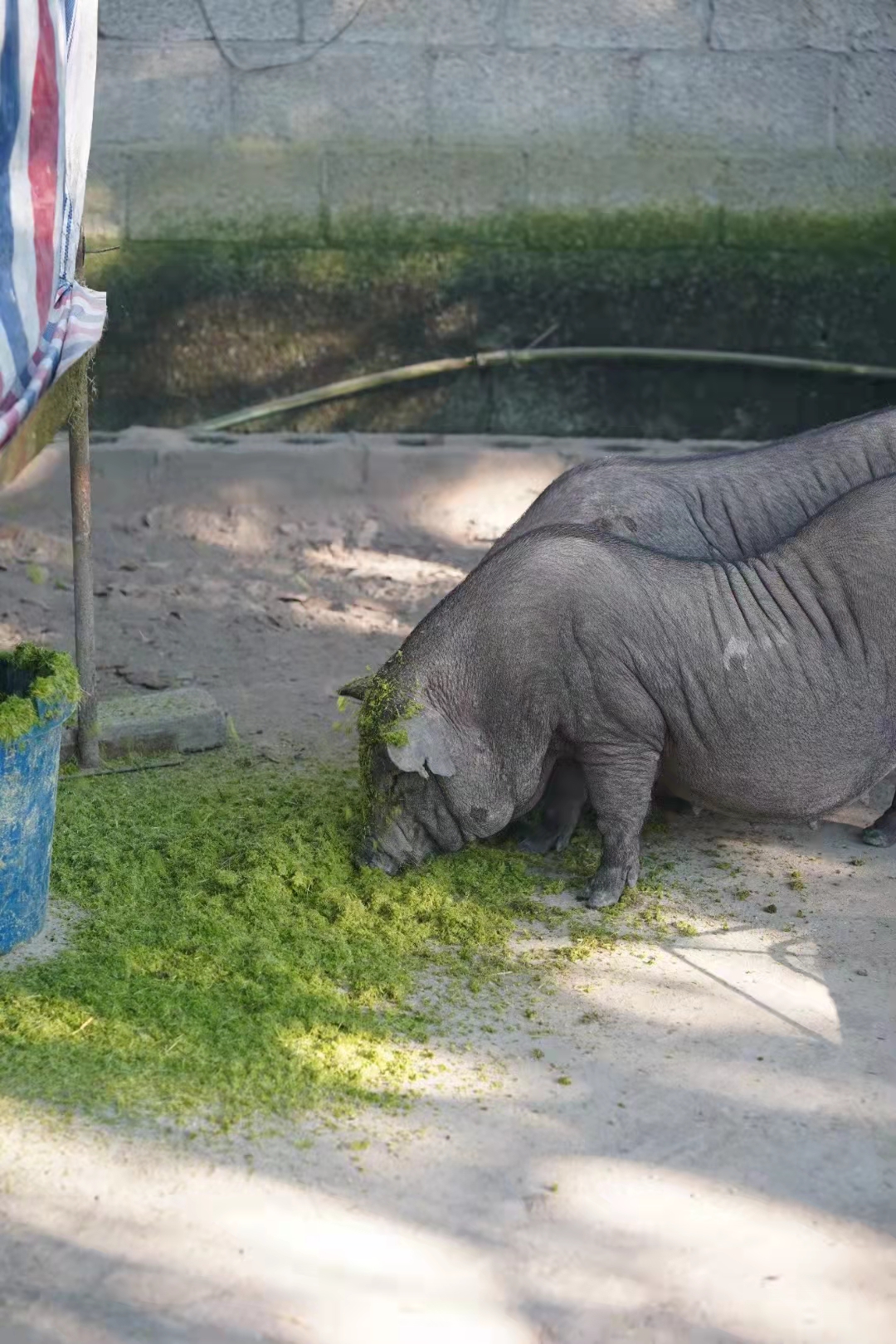 微信图片_20231013160322.jpg 微信图片_20231013160322.jpg