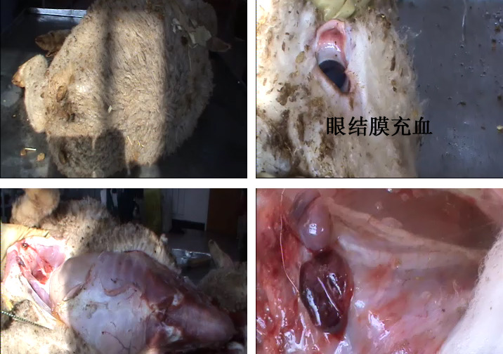 微信图片_20251112091954.jpg 微信图片_20251112091954.jpg