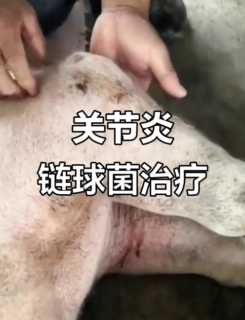 微信截图_20251112091946.jpg 微信截图_20251112091946.jpg