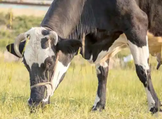 QQ图片20251113153350.png QQ图片20251113153350.png