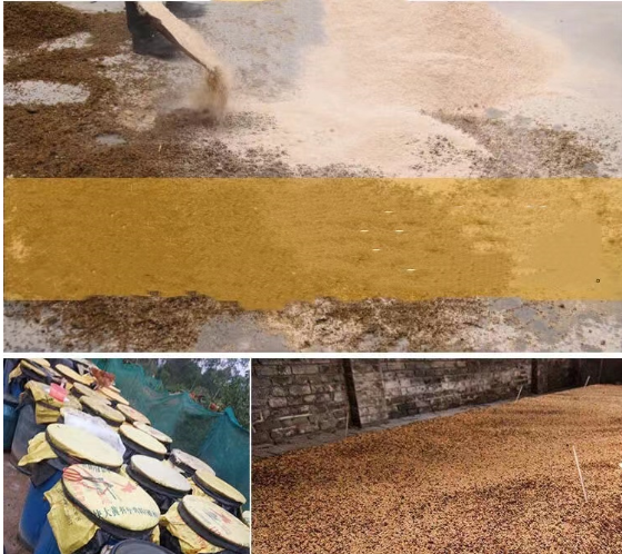 截图20251114091950.png 截图20251114091950.png