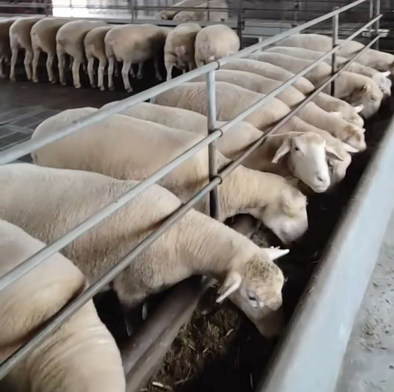 截图20251114092233.png 截图20251114092233.png