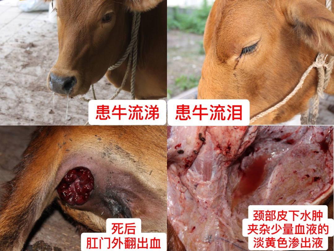 微信图片_20251114092512.jpg 微信图片_20251114092512.jpg