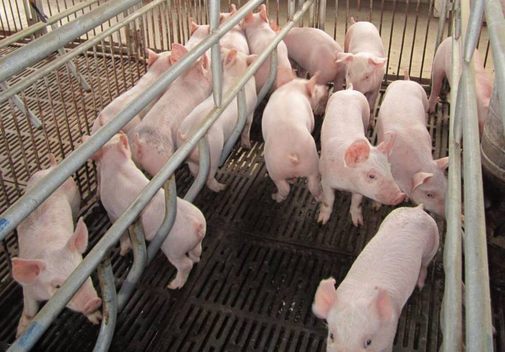 QQ浏览器截图20241206093211.png QQ浏览器截图20241206093211.png