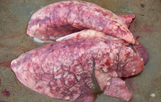 微信图片_20251218093800.jpg 微信图片_20251218093800.jpg