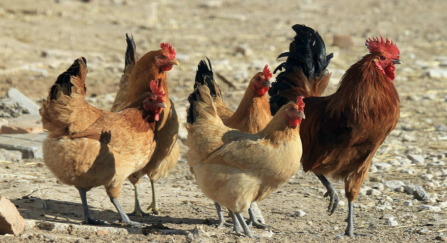 QQ图片20251223105210.png QQ图片20251223105210.png