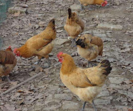 QQ图片20251223105331.png QQ图片20251223105331.png