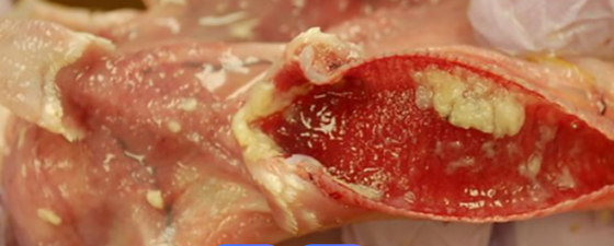 QQ图片20251223110707.png QQ图片20251223110707.png