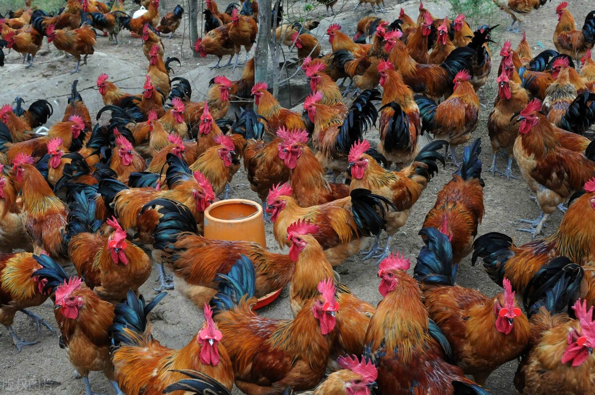 QQ图片20260105105155.png QQ图片20260105105155.png