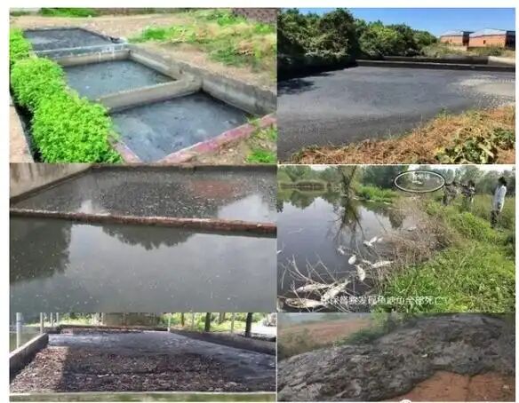 ade0c7048099d9b0264f61ac4ced7577.jpg ade0c7048099d9b0264f61ac4ced7577.jpg