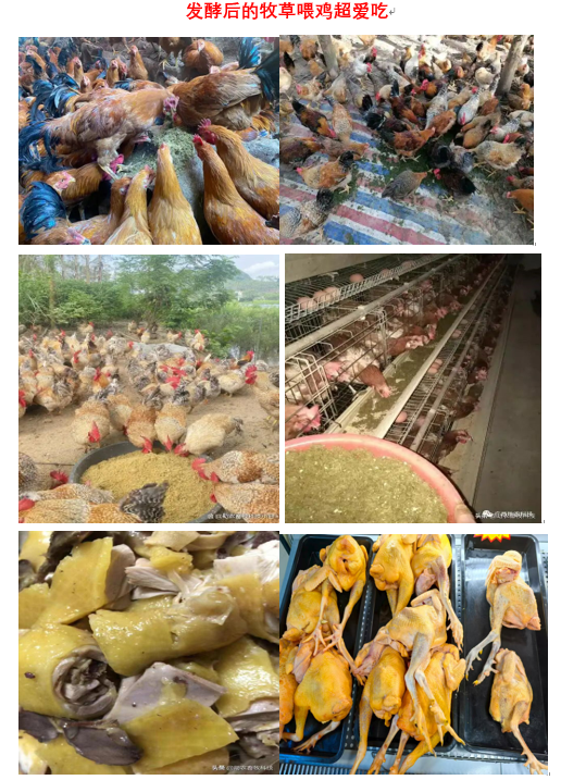 bd8a18ea626ec1933972d43e3094c0f0.png bd8a18ea626ec1933972d43e3094c0f0.png