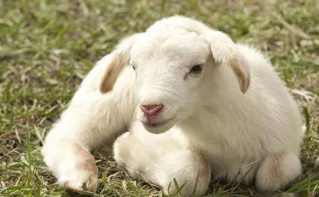 QQ图片20260107101929.png QQ图片20260107101929.png