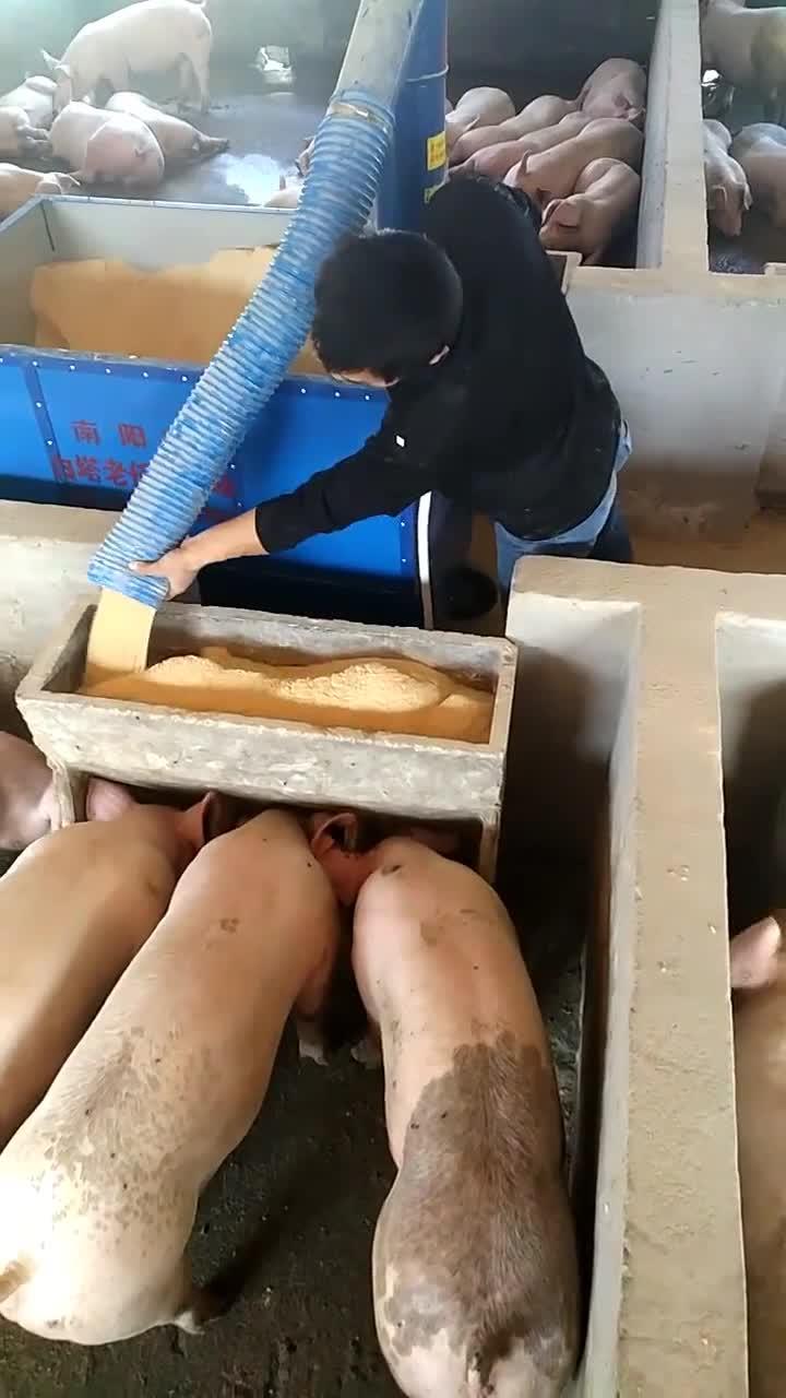 09e9c52f88ae665bad2c7fe823022b1b.jpeg 09e9c52f88ae665bad2c7fe823022b1b.jpeg