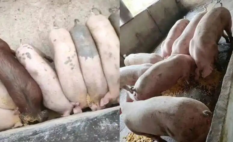 66438b077cb3e6ac42c1b2d9da59c29c.jpg 66438b077cb3e6ac42c1b2d9da59c29c.jpg