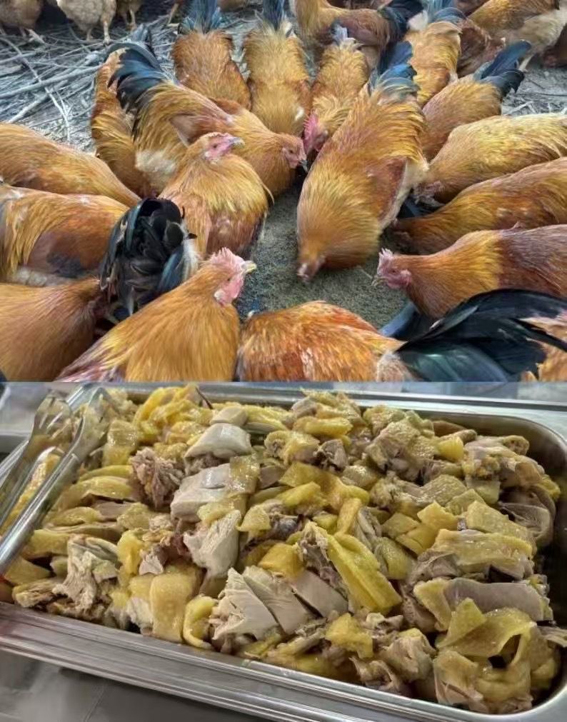 QQ图片20250304162108.jpg QQ图片20250304162108.jpg