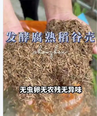 截图20260124093109.png 截图20260124093109.png