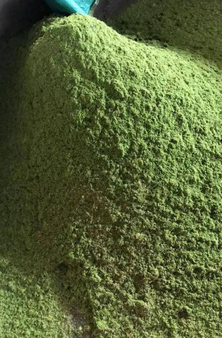 0e7a8cad7f24f2b4bea383aab77e0d08_720.jpeg 0e7a8cad7f24f2b4bea383aab77e0d08_720.jpeg