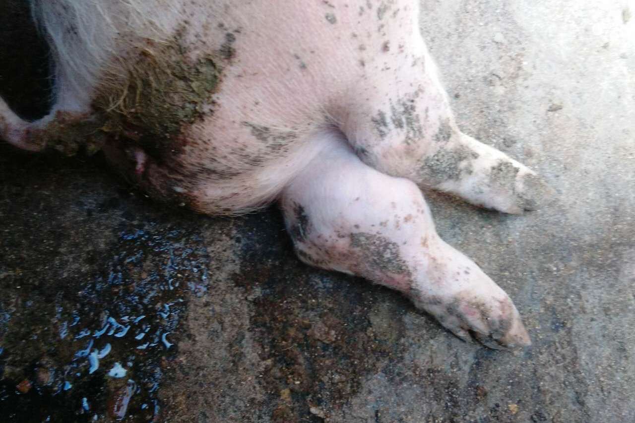 微信图片_20260128092513.jpg 微信图片_20260128092513.jpg