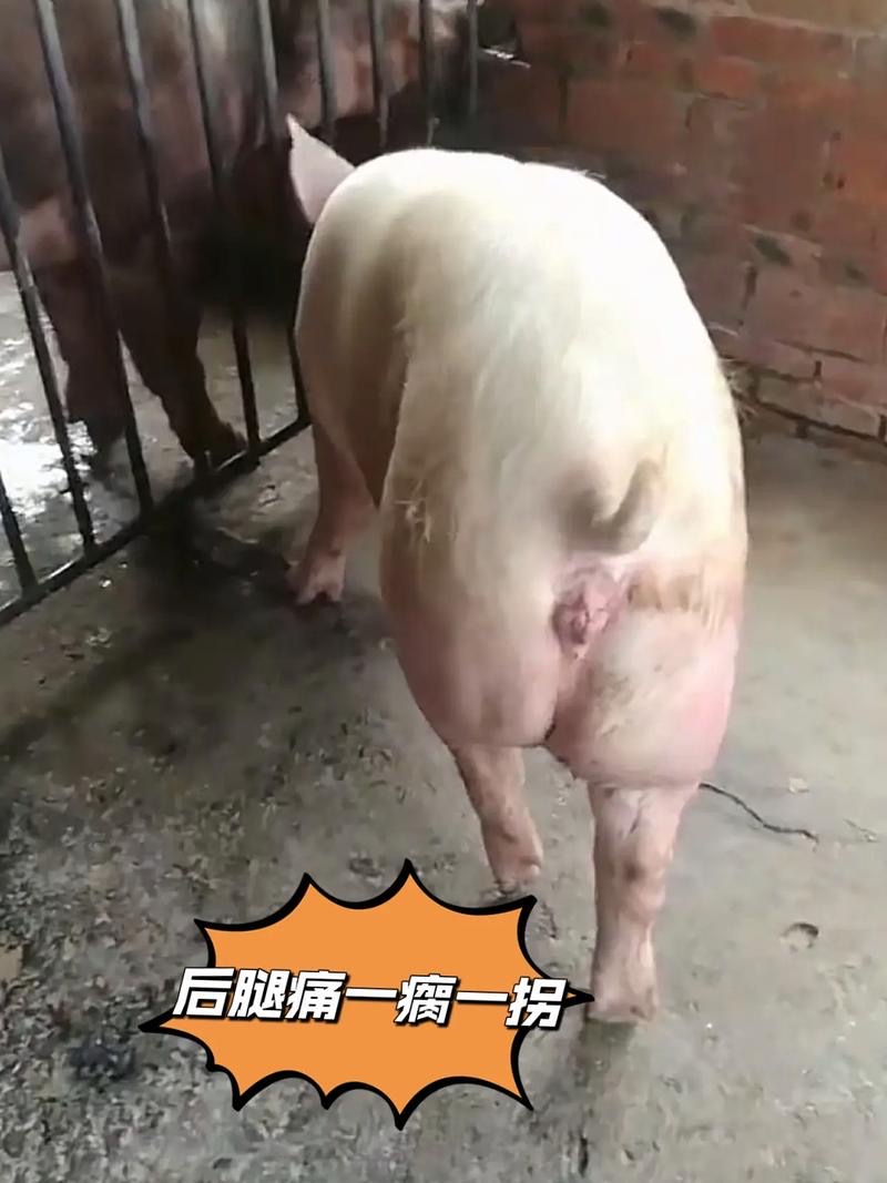 微信图片_20260128092518.jpg 微信图片_20260128092518.jpg