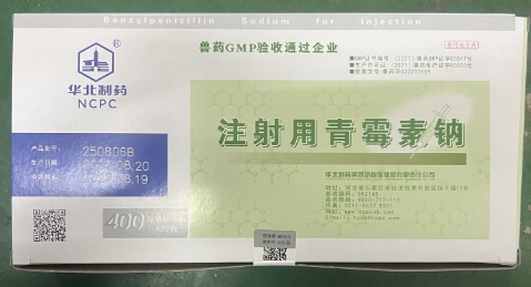 微信截图_20260128092542.jpg 微信截图_20260128092542.jpg