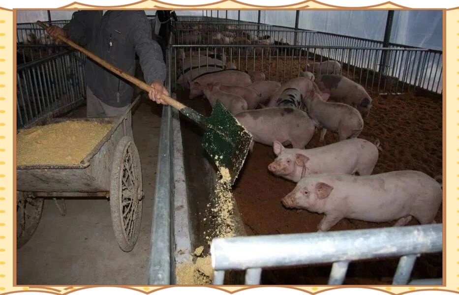 18920ba75063323b19c209ca23f610b5.jpg 18920ba75063323b19c209ca23f610b5.jpg