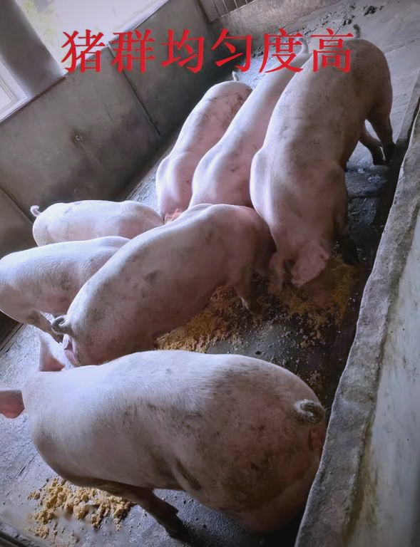 553d64cb12cec6cd1b32fb111a424beb_720.png 553d64cb12cec6cd1b32fb111a424beb_720.png