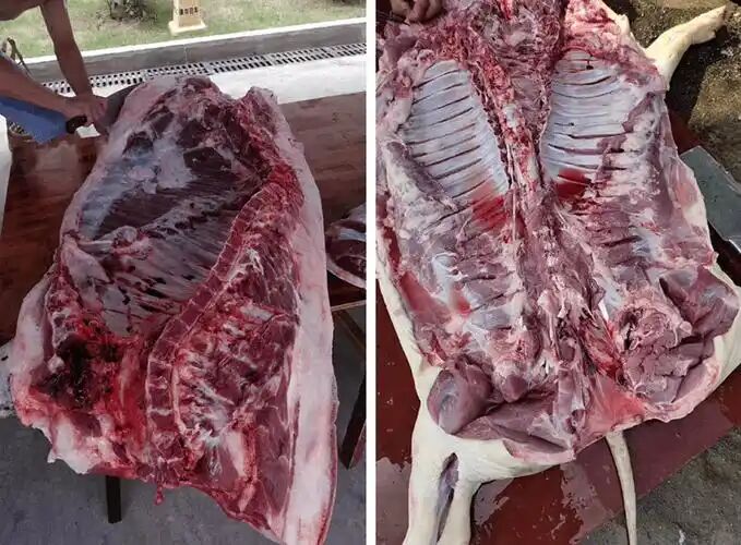 bbb08f63fa4fddf3b1236b2970d5101a.jpg bbb08f63fa4fddf3b1236b2970d5101a.jpg