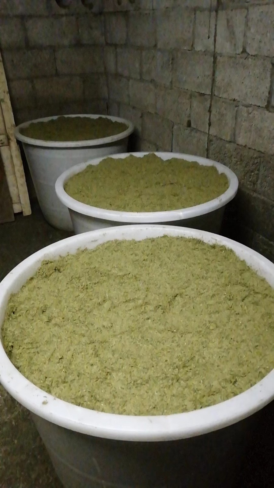 1720582348130674.jpg 1720582348130674.jpg