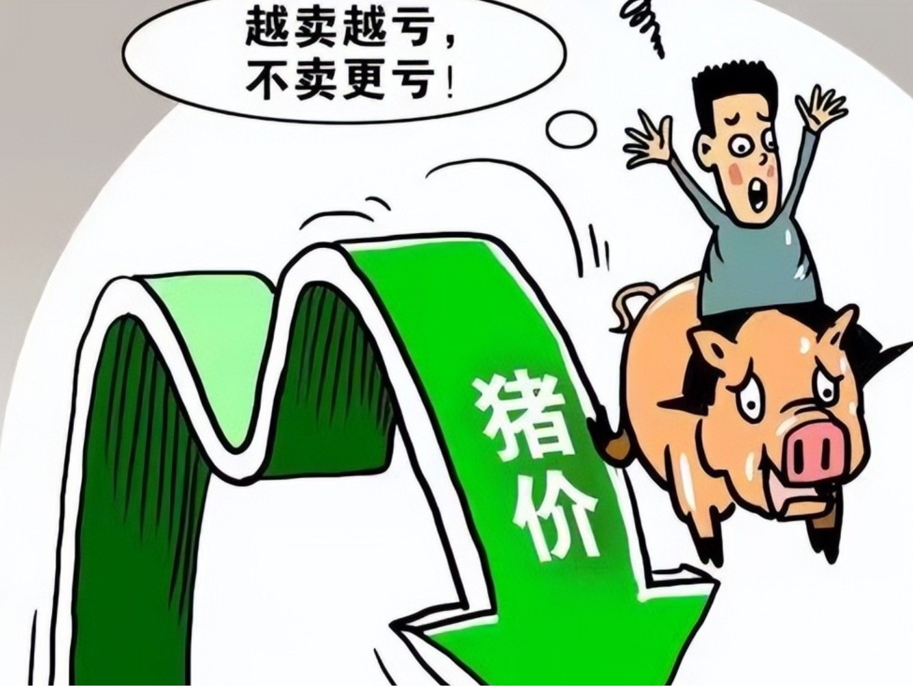 养猪亏损1.jpg 养猪亏损1.jpg