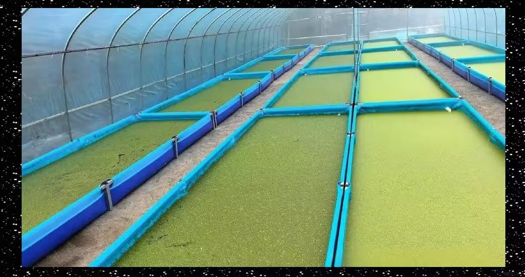 0d483323aae553dbcd1a01591502cc2b_720.jpeg 0d483323aae553dbcd1a01591502cc2b_720.jpeg