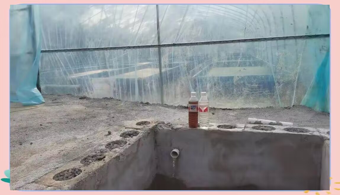 8a17e98c5329db1ce729936dfb09cd20.jpeg 8a17e98c5329db1ce729936dfb09cd20.jpeg