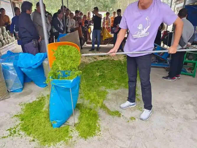 d15143e7d81bb1e52d6104321fb435a5.jpg d15143e7d81bb1e52d6104321fb435a5.jpg