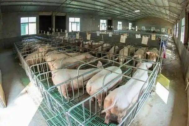 7a1a84851ec37863168162e661d52291.jpg 7a1a84851ec37863168162e661d52291.jpg