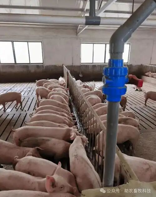 9b65a29f0f4c238a82e3783f5a866b3b.jpg 9b65a29f0f4c238a82e3783f5a866b3b.jpg