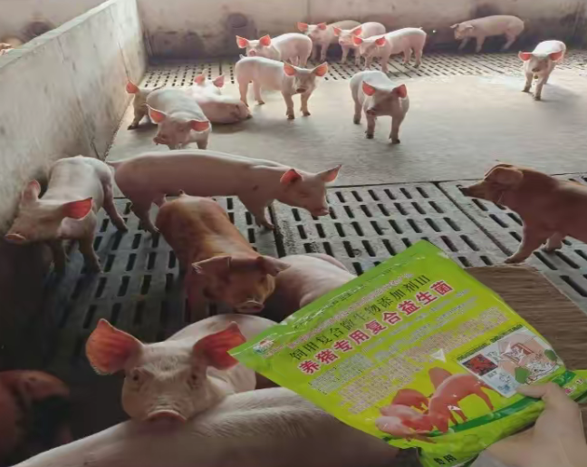 1700815011403724.png 1700815011403724.png